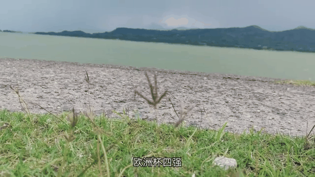 世俱杯改制-关于法国惨败冰岛，冒险晋级四强赛的信息