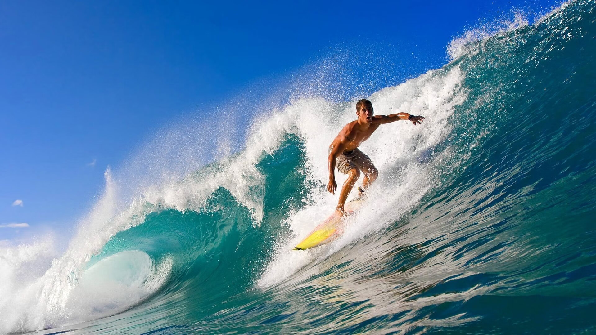 澳网高墙，美网迷宫，德约科维奇王朝的两种叙事